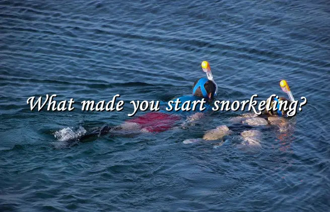 What made you start snorkeling?